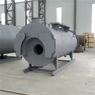 Coal Fired Steam Boiler